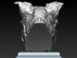 BORDER COLLIE HEAD-7