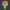 Dandy de Dandy's World – Figurine de fan Roblox