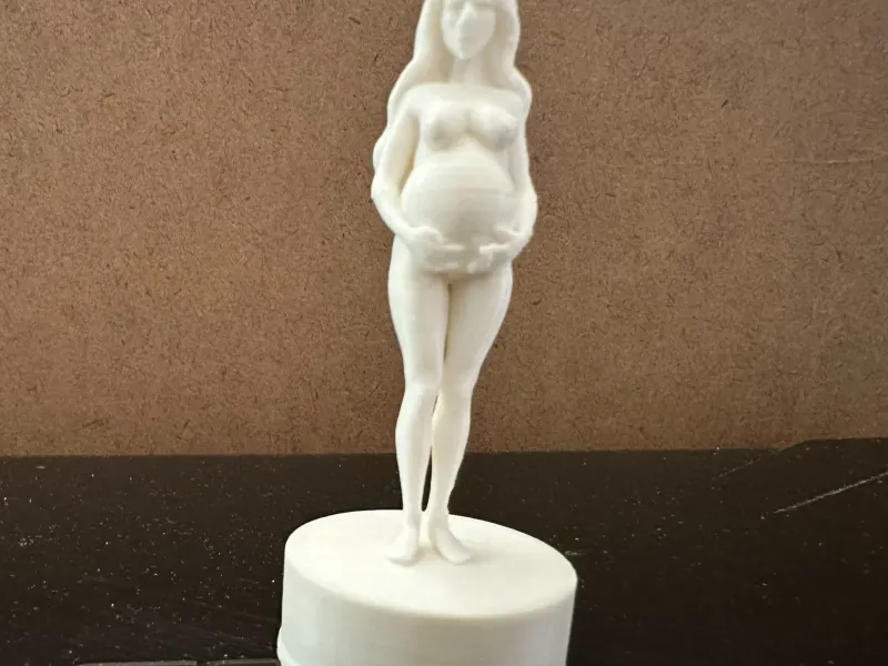 Pregnant 1