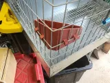 feeder & water corner for rabbits-2