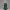 Ashveil Fox Hollow Wanderer – Saw3D