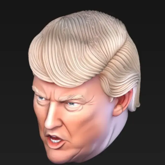 Trump head