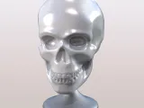 SKULL CHAIR ART DECORATION-3