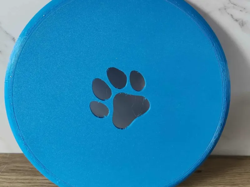 Frisbee