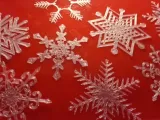 Snowflakes-0