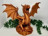 dragon-5