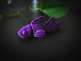 Flexi Betta Fish-3