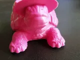 Turtle Pot - Planter / Maceta Tortuga Manuelita Remix-1