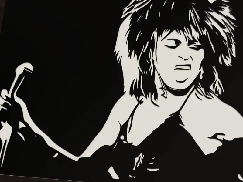 Tina Turner Singing