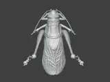 Insect Cricket Assembly Model-5