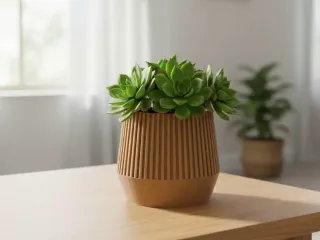Minimalist Indoor Planter for Small Plants