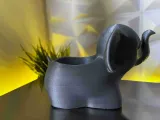 elephant-5