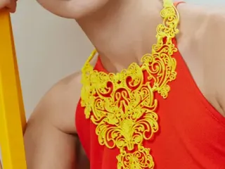 Collar de la declaración del cordón