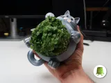 Tıknaz Kedi Saksısı-1