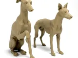Greyhounds-0