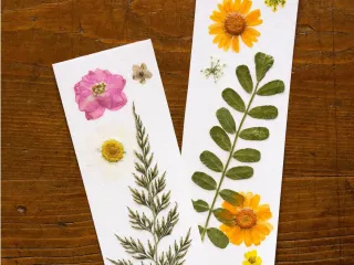 Bookmark
