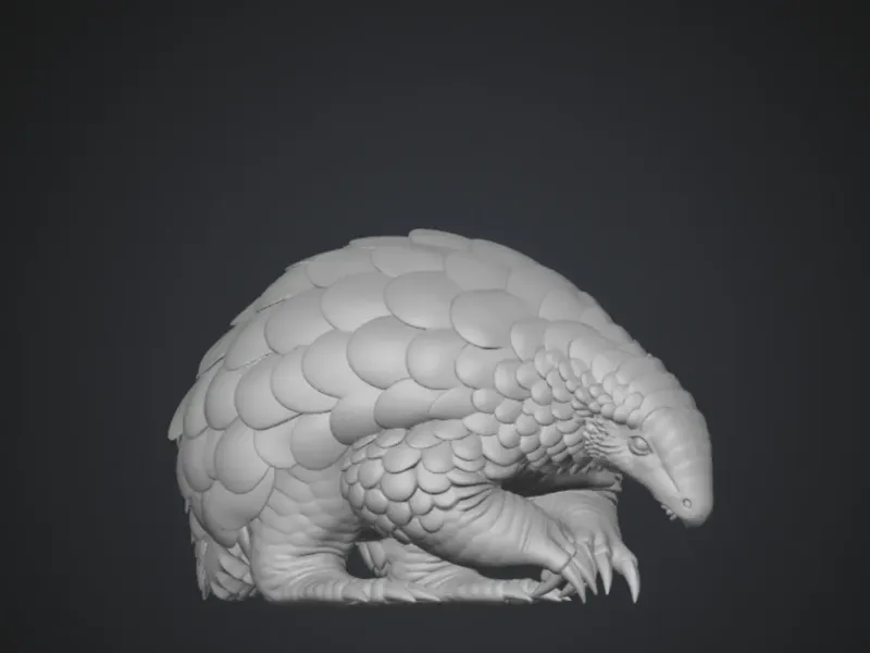 pangolin 