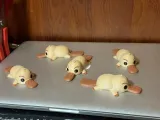 Platypus Puffin-2