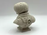 Steampunk Fly Bust-2