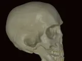vampi̇r kafatasi 💀-1