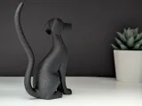 Cane Elegante-3