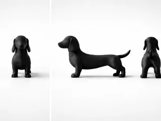 The Dachshund