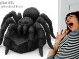 Tarantula on Rock – Spider Statue Model-1