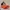 Alexa Echo - Daffy Duck Pato Lucas