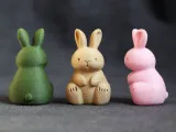 Cute Bunny-2