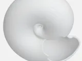 Shell-3