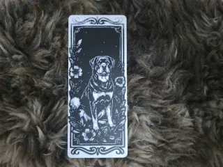 Rottweiler Guard Dog Portrait Bookmark
