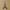 Eifeltower Wall Art
