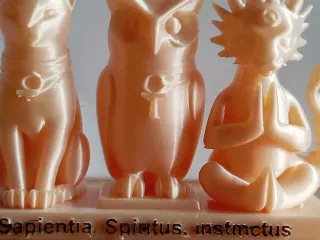 Sapientia, Spiritus, Instinctus