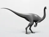 GALLIMIMUS-1