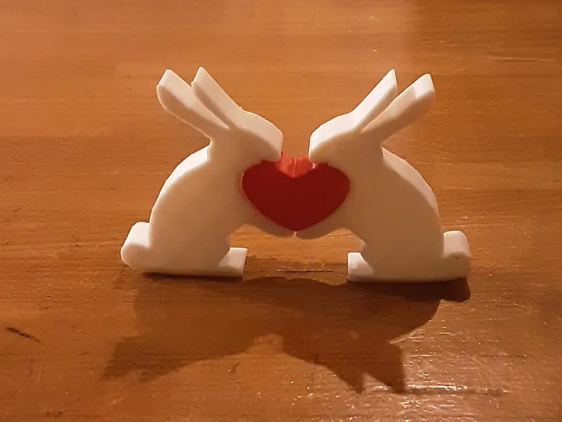 Coniglietti con cuore