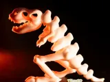 Skeleton Dinosaur-0