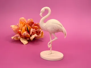 Flamingo