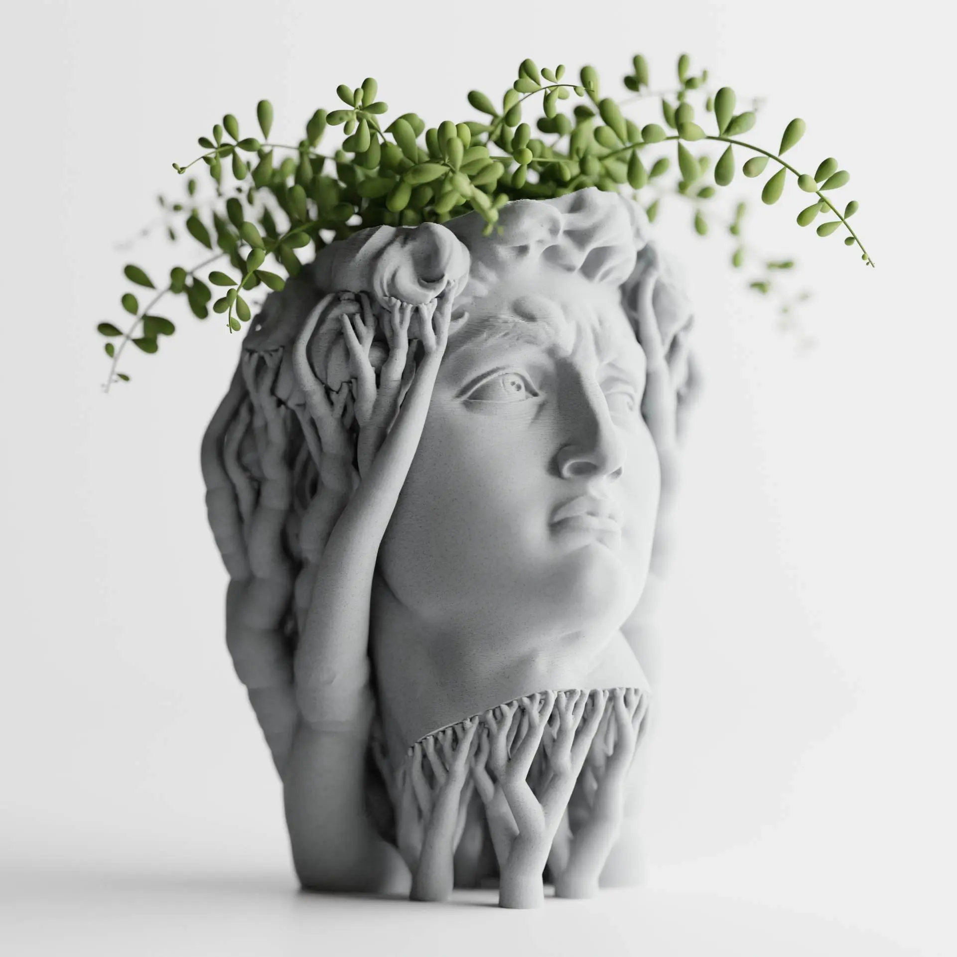 Organic David Planter