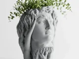 Organic David Planter-0
