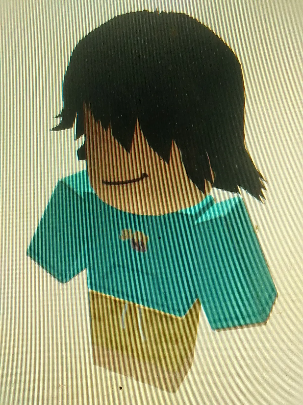 Zackdhanujaya1 roblox shoulder pet