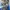 Gunm : Sechs – Hueforge 137x200