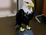 Bald Eagle-1