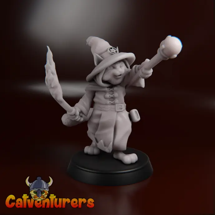Catticus, de tovenaar