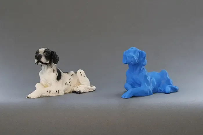 Scansione dei cuccioli: digitalizzata!