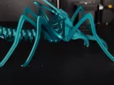 Mosquito Ártico-2