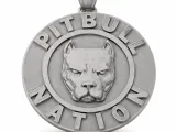 Pitbull Chain-0