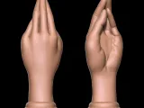 BUTT PLUG HAND - anal plug HAND-1