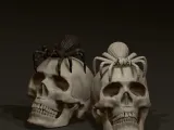 Skull & spider-0