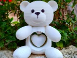 Especial San Valentín - Osito de peluche con corazón-0