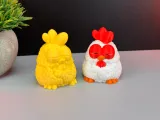 Cool Chicken-9